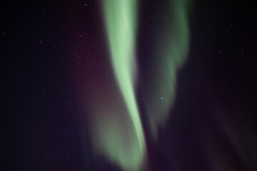 Northern lights (Aurora Borealis) in Lannavaara, Sweden (Lapland)