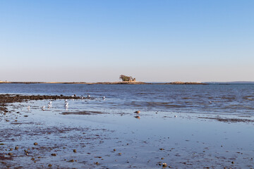 Shore of Cummings Park Beach in Stamford Connecticut along Westcott Cove
