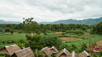 Exterior View of Corn Farm in Houn District, Oudomxay Province, Laos. Green Farm and Peaceful Place in Asia.