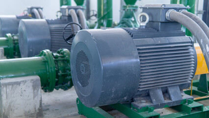 Electric motors driving centrifugal pumps of water system.