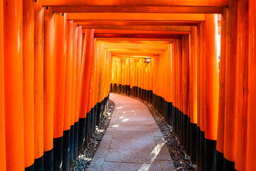 Torii gates of Fushimi Inari Shrine in Kyoto, Japan
