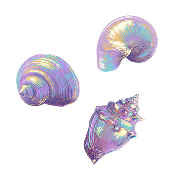 set of three popular seashells. Digital illustration with pearl shells in freehand drawing style