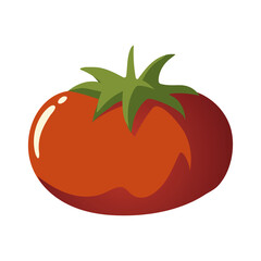 food tomato vegetable organic fresh nutrition icon isolated image
