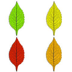 Set sketches silhouettes leaves on white background illustration