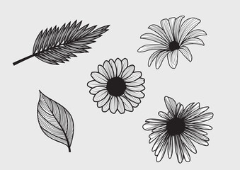 Set of Vintage Leaf and Flowers