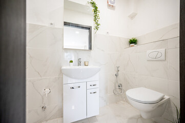 A renovated bathroom in a flat.