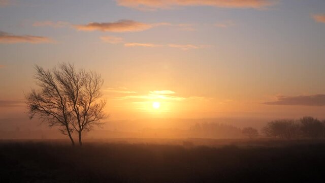 Early morning sunrise on a British moorland in late autumn.