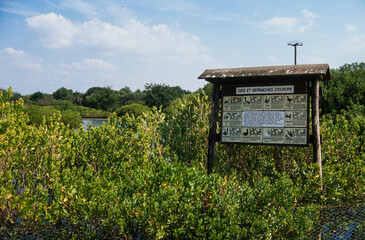 Réserve ornithologique, Le Teich, Bassin d'Arcachon, Landes de Gascogne, 33, Gironde