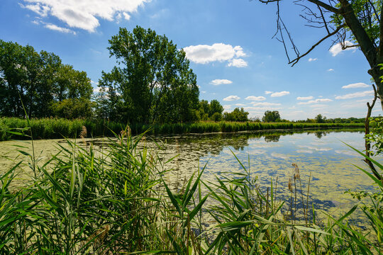 Naturschutzgebiet Haselbacher Teiche bei Haselbach, Landkreis Altenburger Land, Th&uuml;ringen, Deutschland
