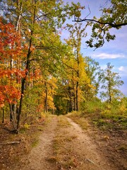 beautiful colours of autumn