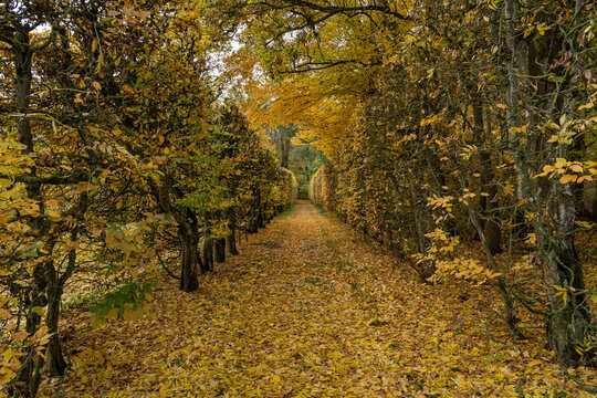 Schloss und Schlosspark Werneck, Landkreis Schweinfurt, Unterfranken, Bayern, Deutschland