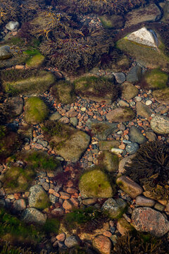 Rocks seen through water