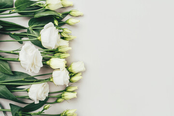 Fresh white flowers on a grey pastel background. Spring or summer minimal concept. Copy space for text.
