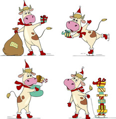 Set of cartoon comical bull in Santa Claus costume holding present. Vector illustrations isolated on white. Merry Christmas and New Year greetings. Hand drawn illustrations. New year 2021 ox symbol