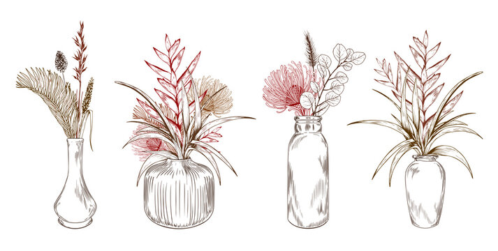 Exotic Tropical Flowers In Vases.