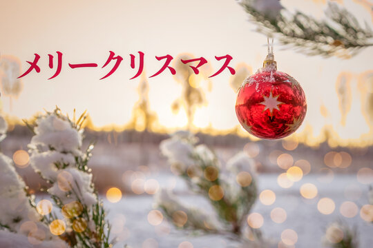 Text Merry Christmas in Japanese! Blurred background of beautiful Christmas tree branches under snow decorated with bright red ball. 25 December. Winter. Bokeh. Japan. Celebration. Greeting card.