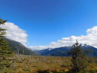 Naklejka premium Carretera austral