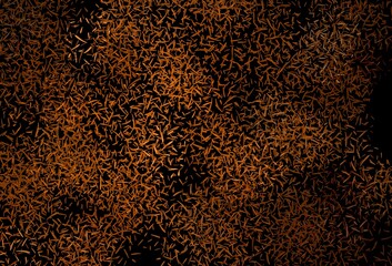 Dark Orange vector background with stright stripes.