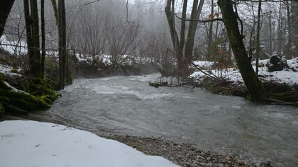 Alpine stream flowing in beautiful nature in winter season. Snow covering forest ground. Cold rain falling in wilderness. Pristine woodlands in Slovenia. Static shot, real time, wide angle - Powered by Adobe