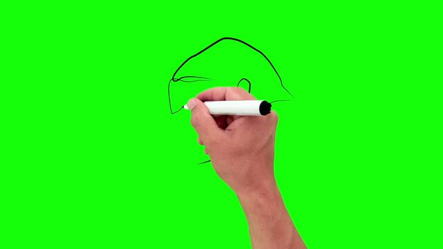 Gorilla Monkey thinking in one line. Black line animation with pencil on green background