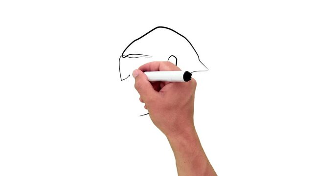 Gorilla Monkey thinking in one line. Black line animation with pencil on white background