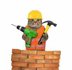 A cat worker in a yellow construction is holding a hand electric drill and a hammer at a brick wall. White background. Isolated.
