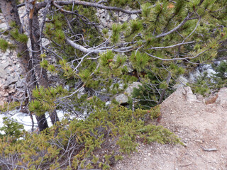 A Winter Day Hike Through The Mountains 