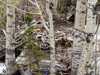 A Winter Day Hike Through The Mountains 