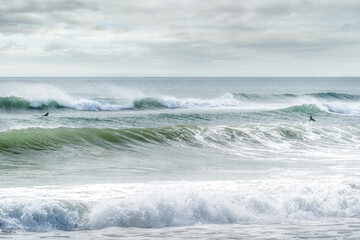 Naklejka na ściany i meble Waves rolling in at Lawrencetown Beach Provincial Park, Nova Scotia, Canada.