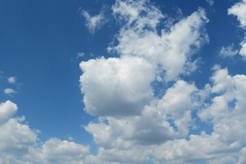 Naklejka na ściany i meble Blue sky with white fluffy clouds