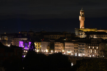 Fototapeta na wymiar Cityscape of Florence Illuminated in occasion of F-Light Festival 2020 during Christmas time. Italy.