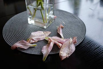 pink flower petals on the table