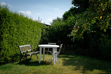 table and chairs in the garden
