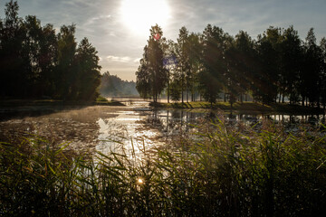 in the morning mist the sun breaks through by the small lake in Småland, Sweden