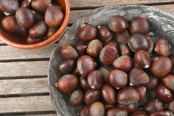 chestnut group as seasonal autumn fruit