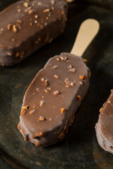 Frozen Chocolate Covered Ice Cream Bars