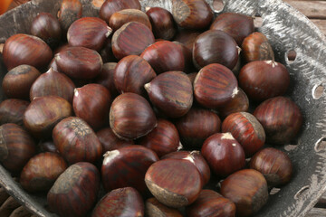 chestnut group as seasonal autumn fruit