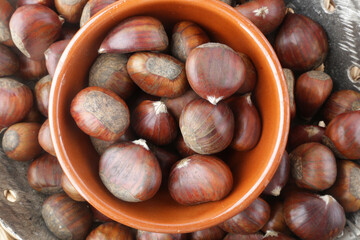 chestnut group as seasonal autumn fruit