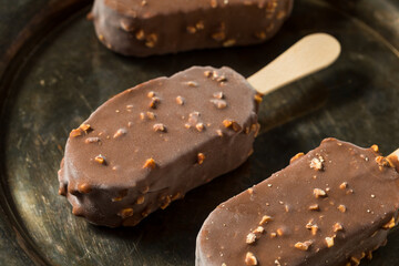 Frozen Chocolate Covered Ice Cream Bars