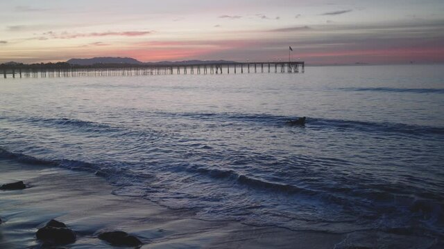 Surfers head out at sunrise