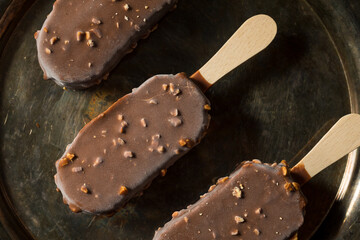Frozen Chocolate Covered Ice Cream Bars