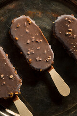 Frozen Chocolate Covered Ice Cream Bars