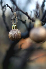 Golden Christmas baubles, hanging in the garden. Selective focus.