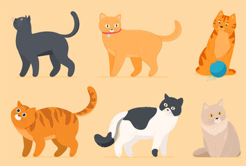 A set of cartoon cats. Cats isolated on a white background. Vector illustration