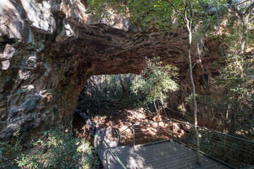 Obraz premium a bridge over a river