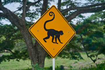 black and yellow road sign. traffic sign showing a monkey