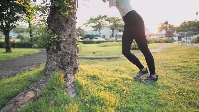fit young female stretching legs calf muscle pushing on the tree, warm up before exercise, body flexibility lower body, health care, hamstring extensions exercise at the park, refreshing after workout
