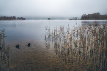 Staffelsee im Nebel