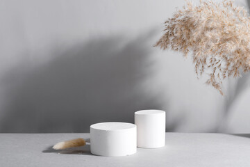 Geometric podium scene on paper with Dry reed ultimate gray background