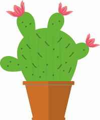 Cute succulent or cactus plant with flower  in ceramic pot 